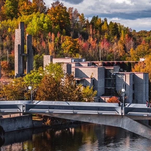 Meet your Posher, Lola - Picture 1 of 1